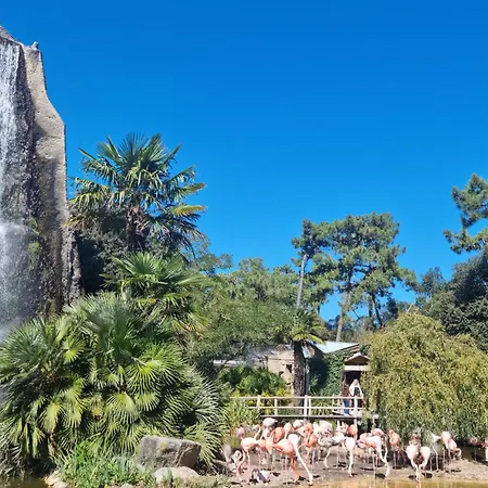 Beautiful In * La Tremblade