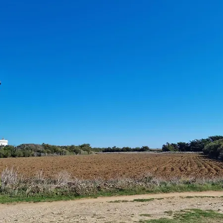 Beautiful In La Tremblade